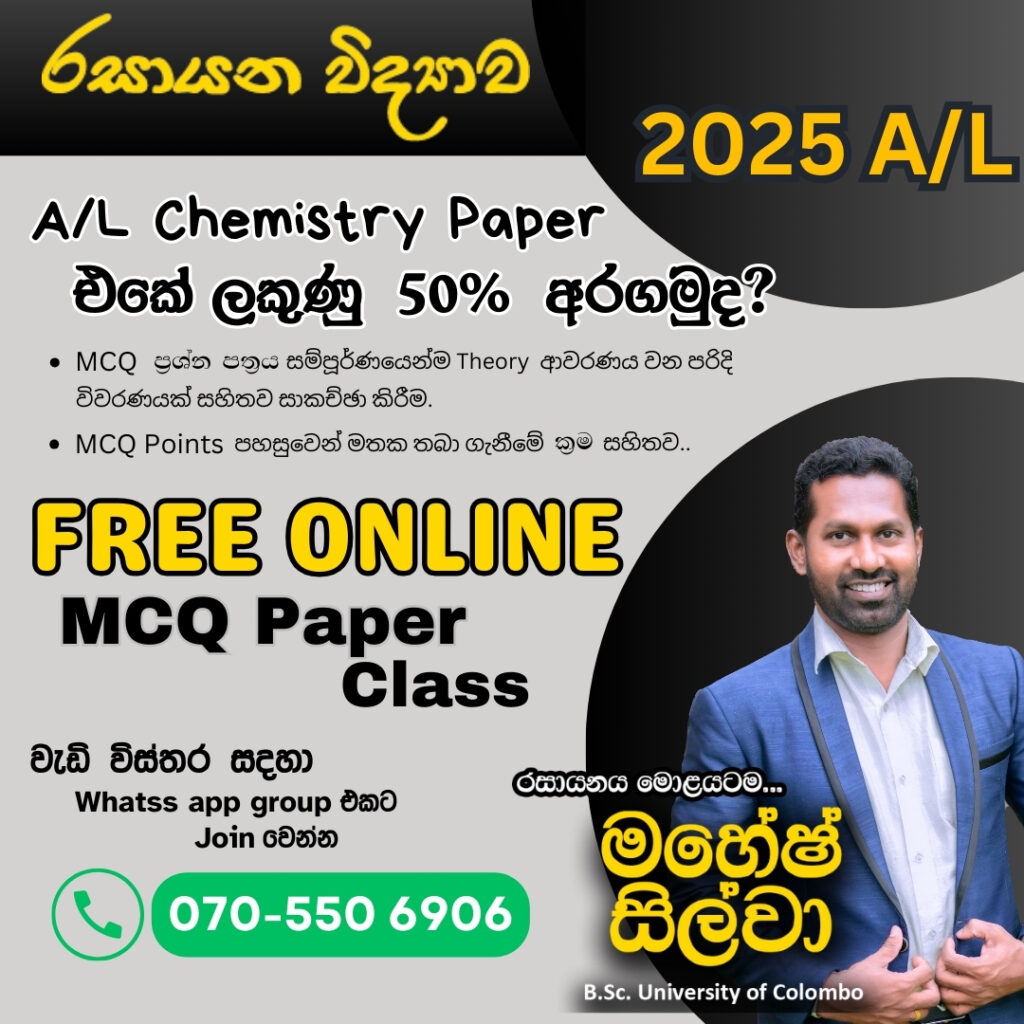 WhatsApp Image 2025-01-22 at 12.46.55 PM